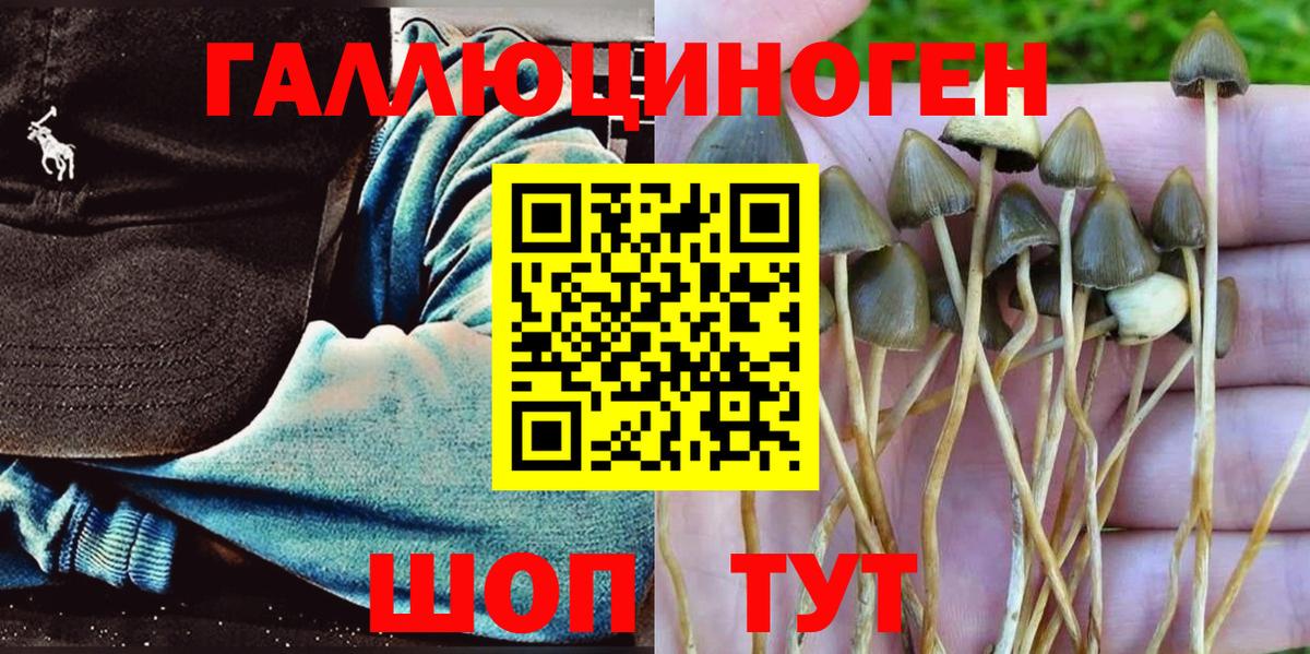 Галлюциногенные грибы Psilocybine cubensis  закладки  Ухта  Вход с VPN 