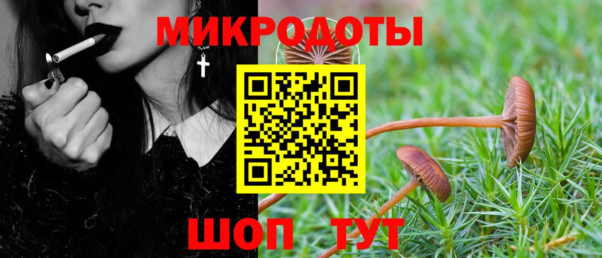 Псилоцибиновые грибы Magic Shrooms Ухта